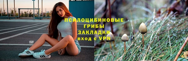 трава Балабаново