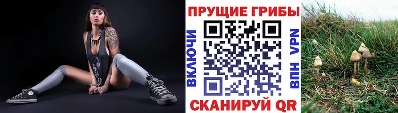 Псилоцибиновые грибы прущие грибы  цены наркотик  Гороховец 